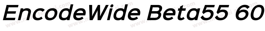 EncodeWide Beta55 600 SemiBold字体转换